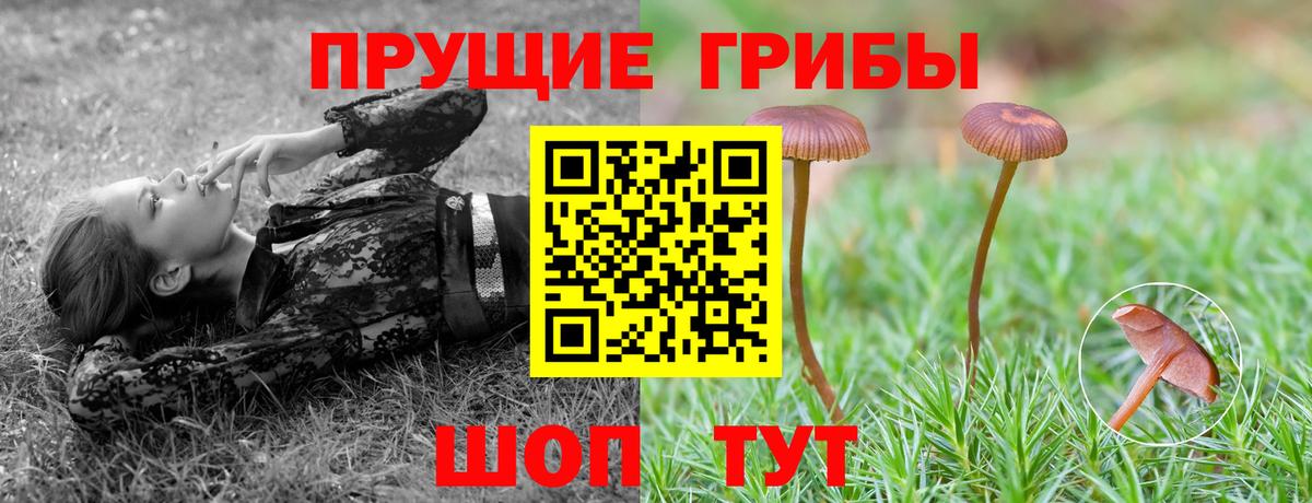 Галлюциногенные грибы Magic Shrooms  Вход с VPN  Новошахтинск 